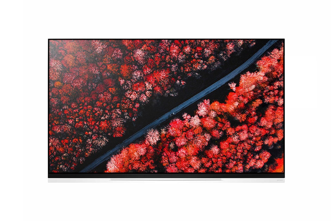 LG 65'' (165 cm) LG OLED E9 | α9 Gen 2 Intelligent Processor | Oneindig contrast | Cinema HDR met Dolby Vision | Dolby Atmos | Picture-On-Glass design, OLED65E9PLA