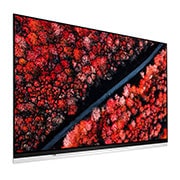 LG 65'' (165 cm) LG OLED E9 | α9 Gen 2 Intelligent Processor | Oneindig contrast | Cinema HDR met Dolby Vision | Dolby Atmos | Picture-On-Glass design, OLED65E9PLA, thumbnail 4