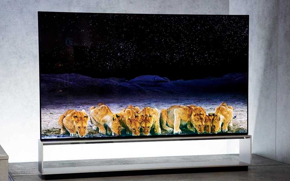 LG SIGNATURE OLED TV R delivering realistic picture quality so you feel as though you're in the wild with lions  | More at LG MAGAZINE