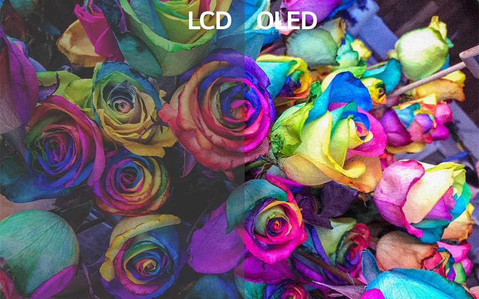 OLED_Colours-NEW.jpg