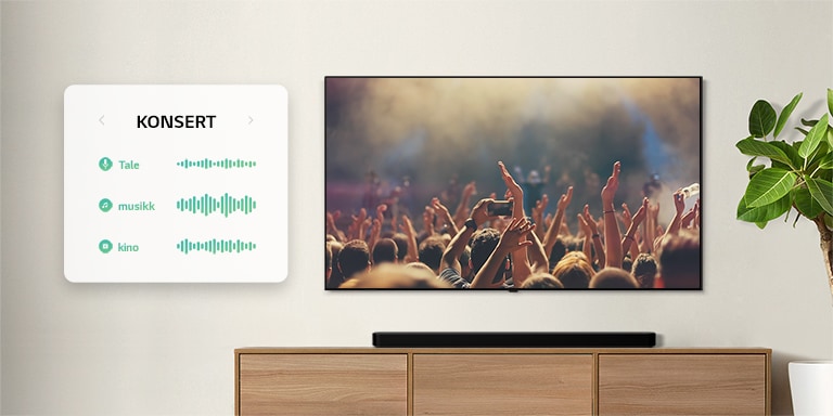 TVen er på veggen. TV viser mennesker som klapper på en konsert, kanalen byttes til en filmscene med en bil som kjører i en skog, kanalen byttes nok en gang, nå til nyheter med en nyhetsanker som snakker. LG Lydplanke er like under TV på en beige hylle. (spill av videoen)