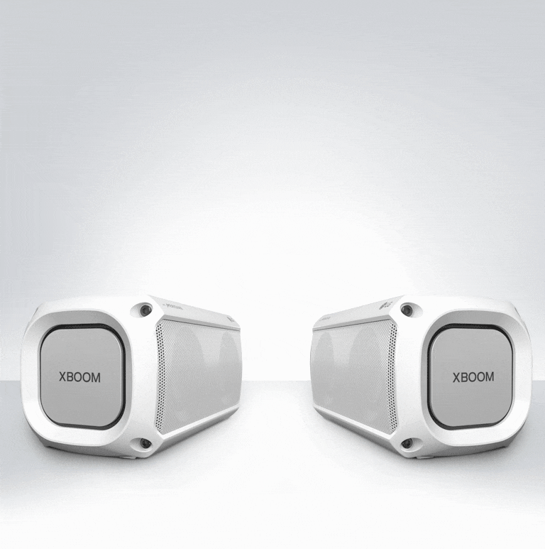 Sterk Dual Action-bass2