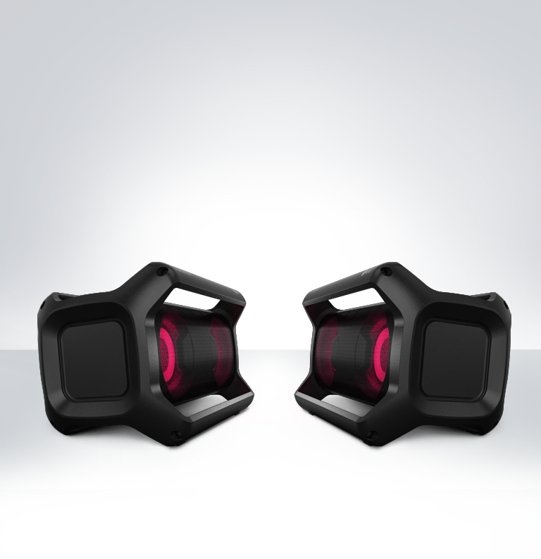 Sterk Dual Action-bass2