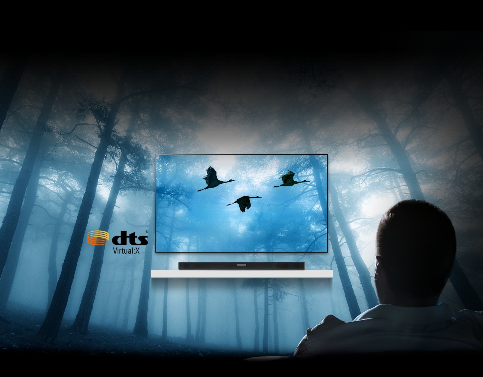 Lover en full, tredimensjonal surroundlyd1