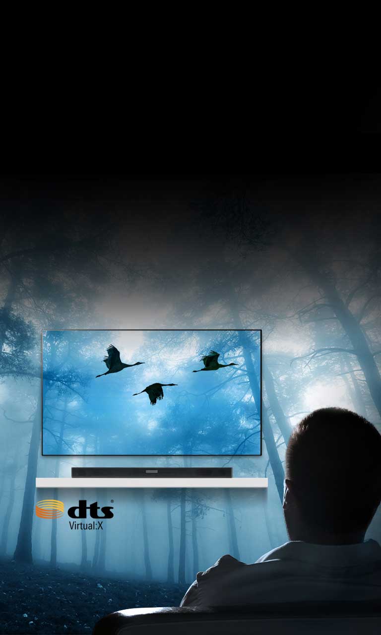 Lover en full, tredimensjonal surroundlyd2