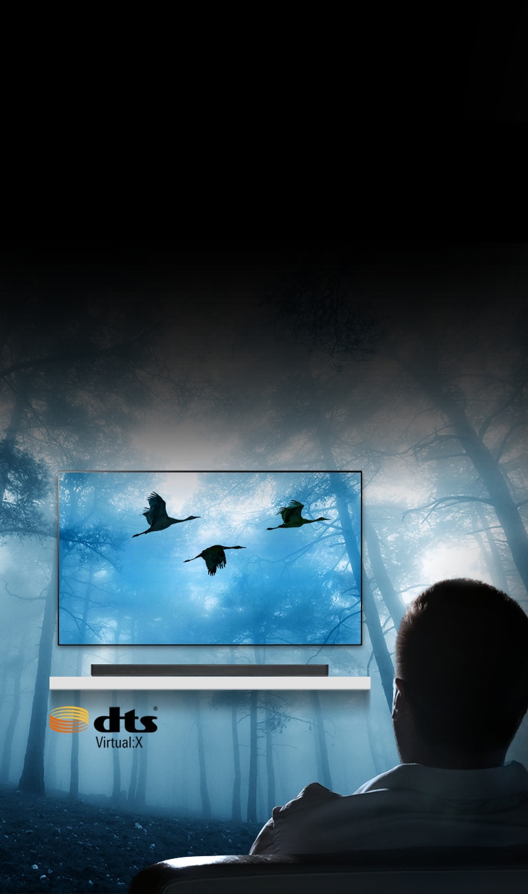 Lover en full, tredimensjonal surroundlyd<br>2