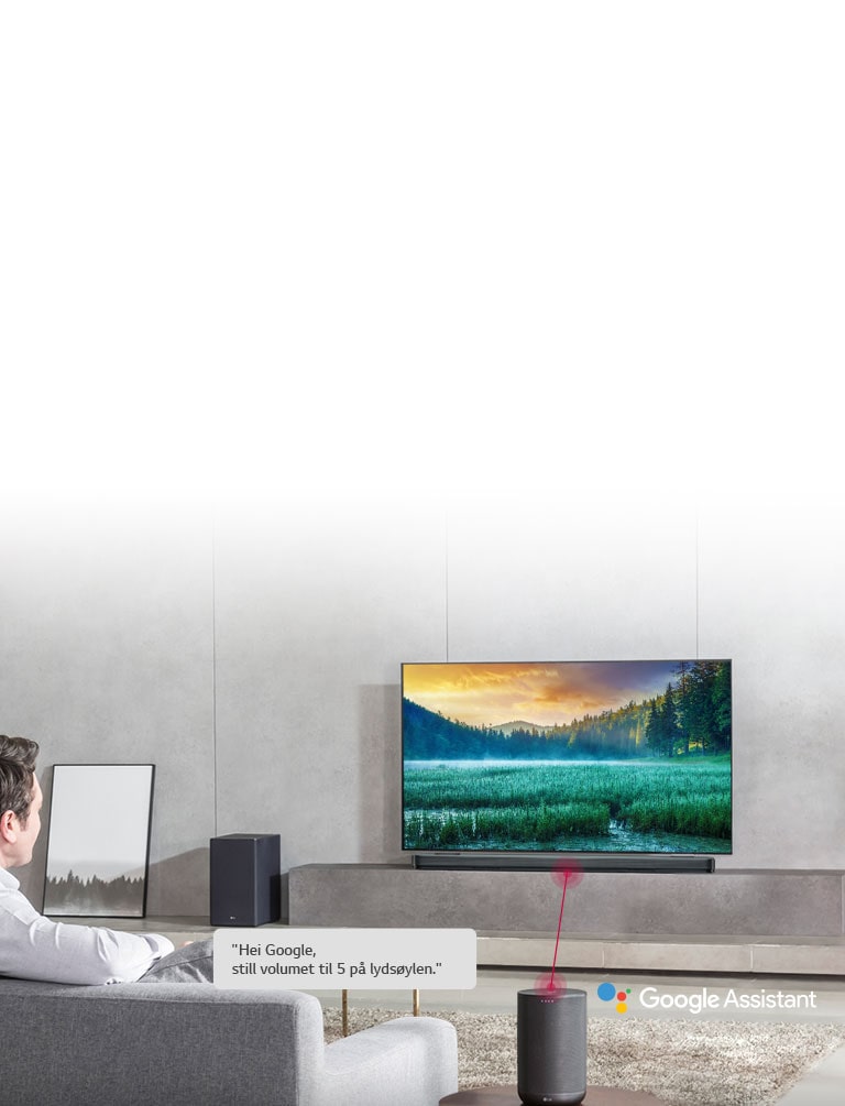 Fungerer med Google Assistant-en<br>2