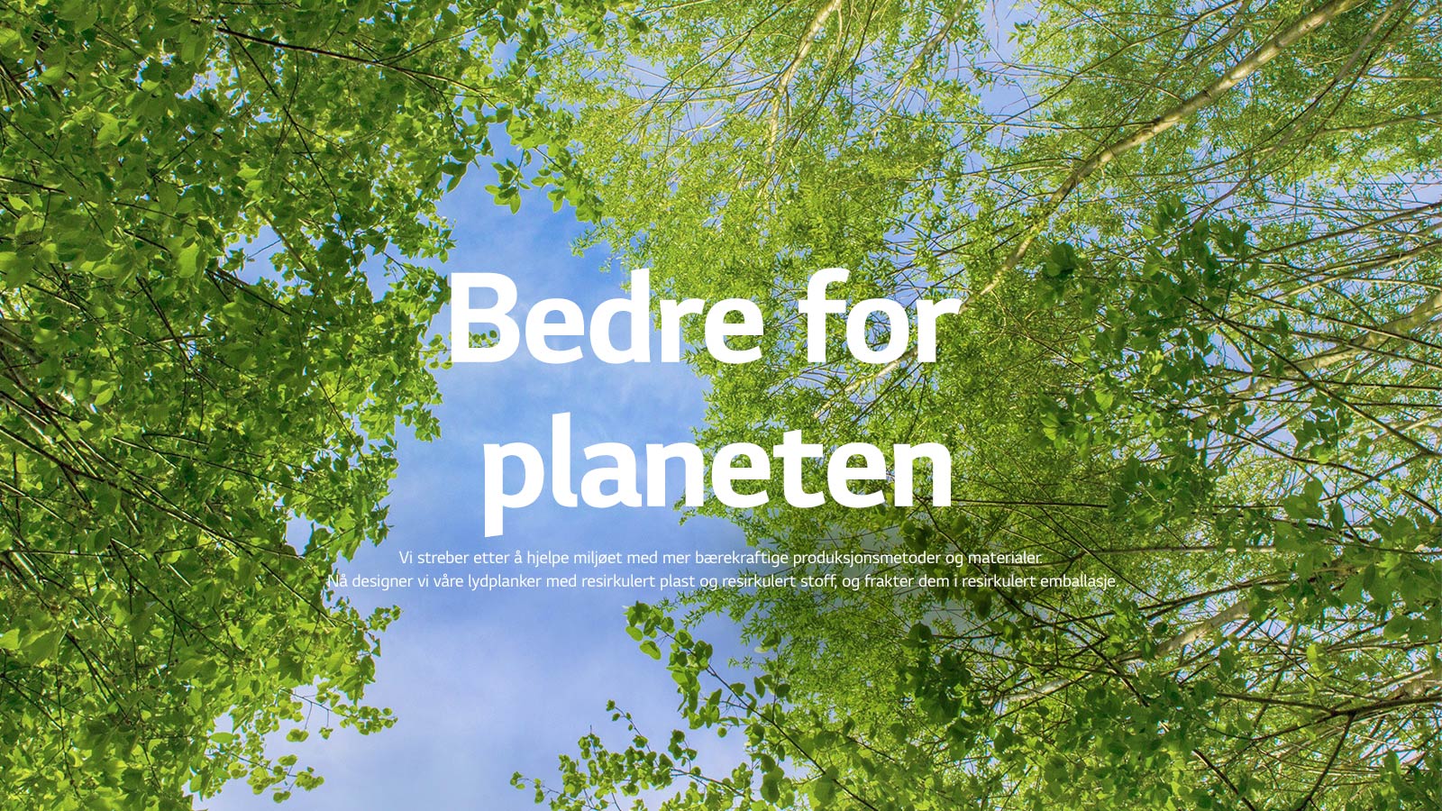 En grön bild full av lövfyllda träd mellan vilka en himmel syns.