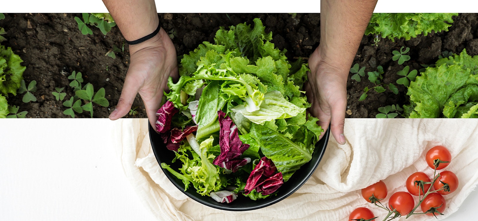 Den øverste delen av bildet er fra en høsting av salat fra åkeren. Den nedre delen av bildet er en frisk salat i en rund tallerken. Grønnsakene i disse to bildene henger naturlig sammen som om de var ett bilde.