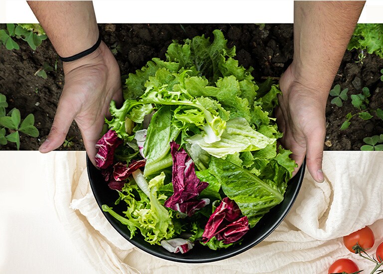 Den øverste delen av bildet er fra en høsting av salat fra åkeren. Den nedre delen av bildet er en frisk salat i en rund tallerken. Grønnsakene i disse to bildene henger naturlig sammen som om de var ett bilde.