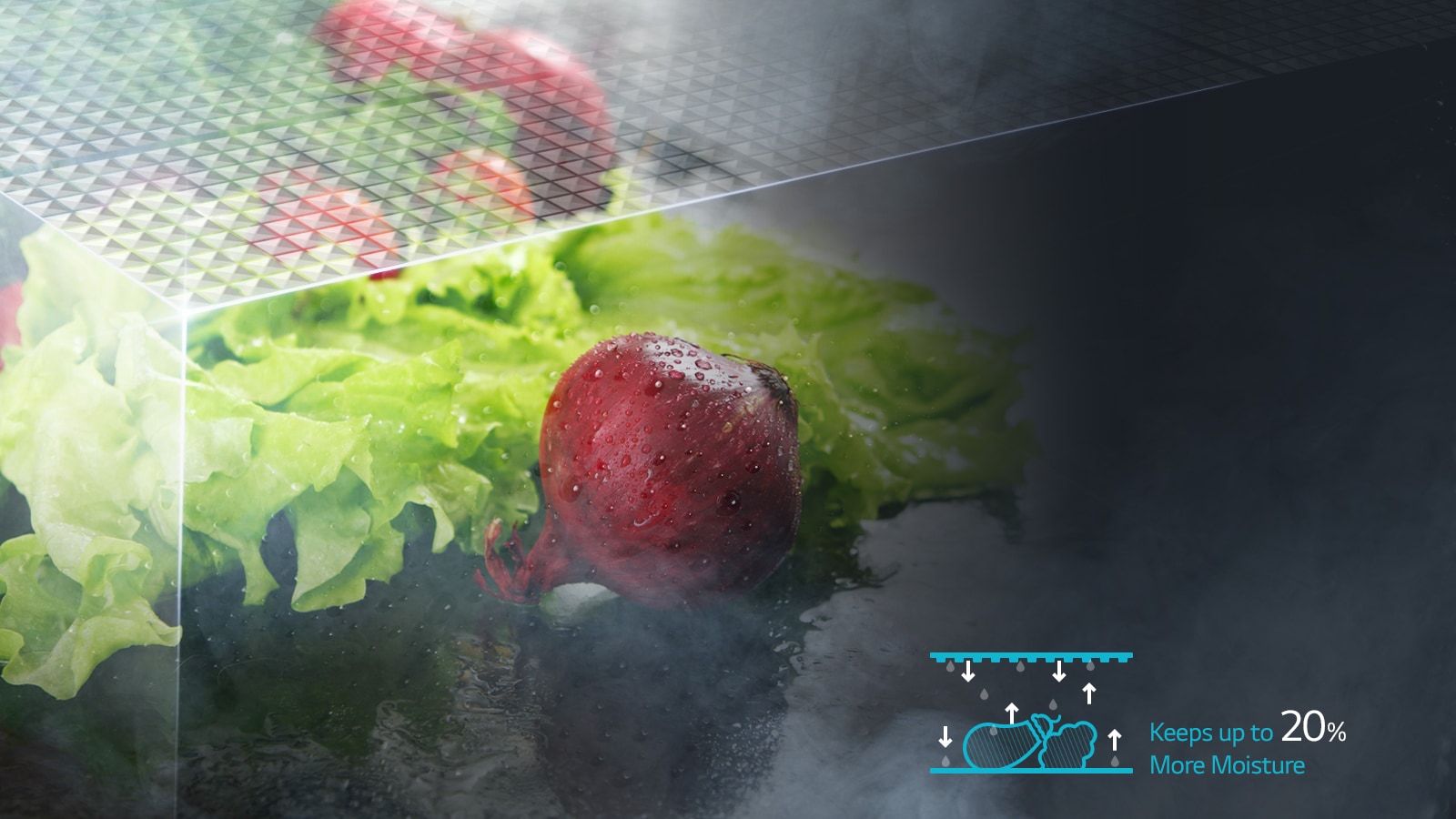 Moist Balance Crisper 1