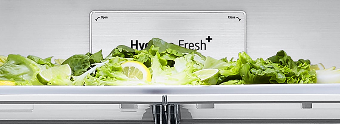 Nærbilde av Metal Fresh™-merke inne i kjøleskapet.