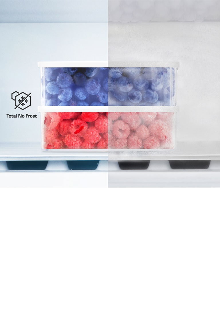 Fruktbollen inne i kjøleskapet er delt inn i to deler for å vise effekten av den kalde luften som strømmer rundt