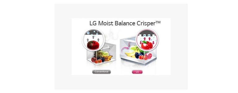 Moist Balance Crisper – hold frukt og grønnsaker friske lenger