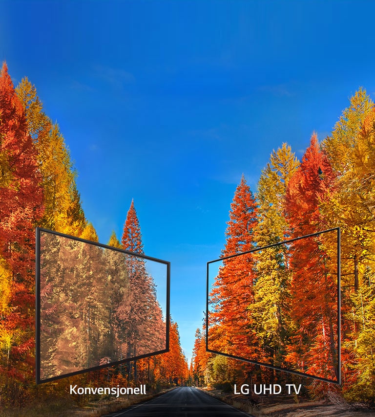 Konsekvente bilder fra enhver vinkel<br>2