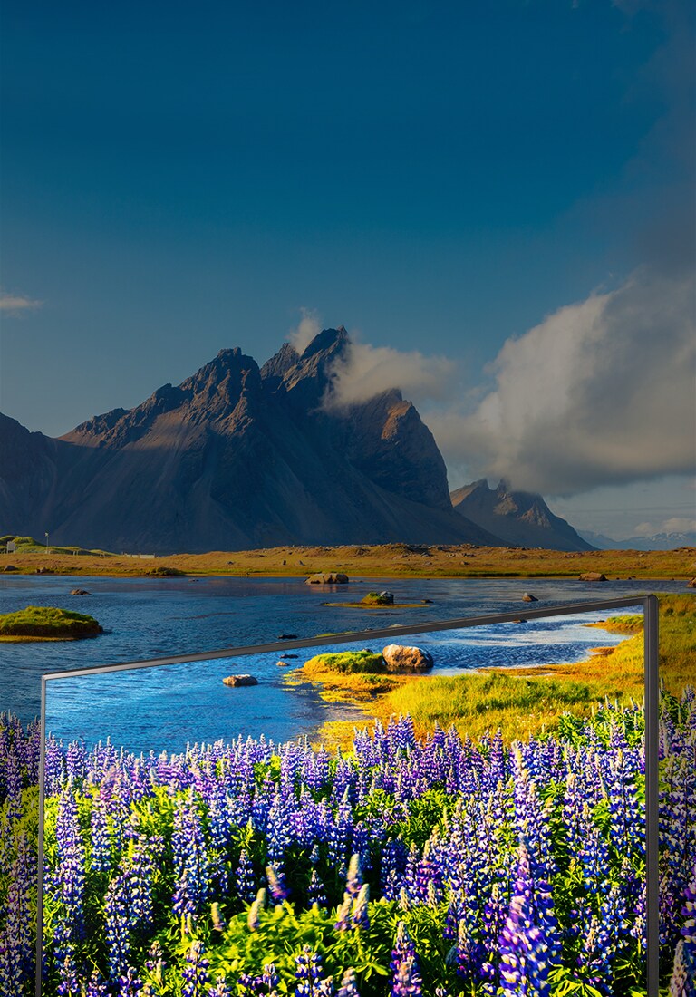 Full HD-revolusjonerende bildeklarhet og farge