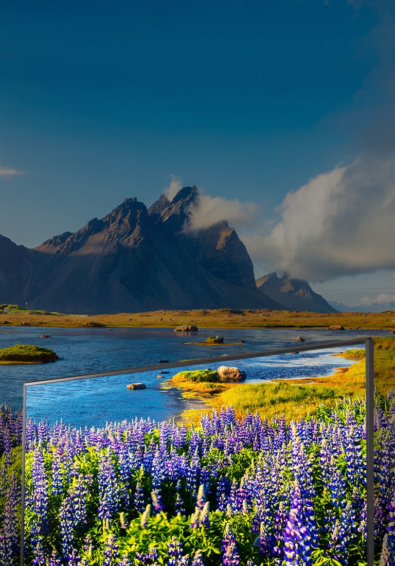 Full HD-revolusjonerende bildeklarhet og farge2