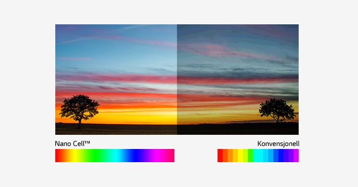 Billion Rich Colors<br>1