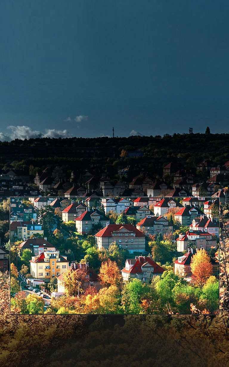 Spektakulære farger fra Nano Cell™ Display2