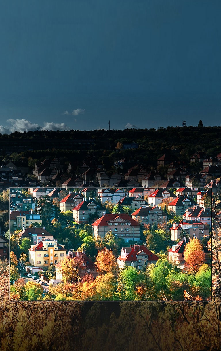 Spektakulære farger fra Nano Cell™ Display2