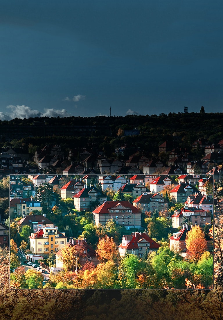 Spektakulære farger fra Nano Cell™ Display2