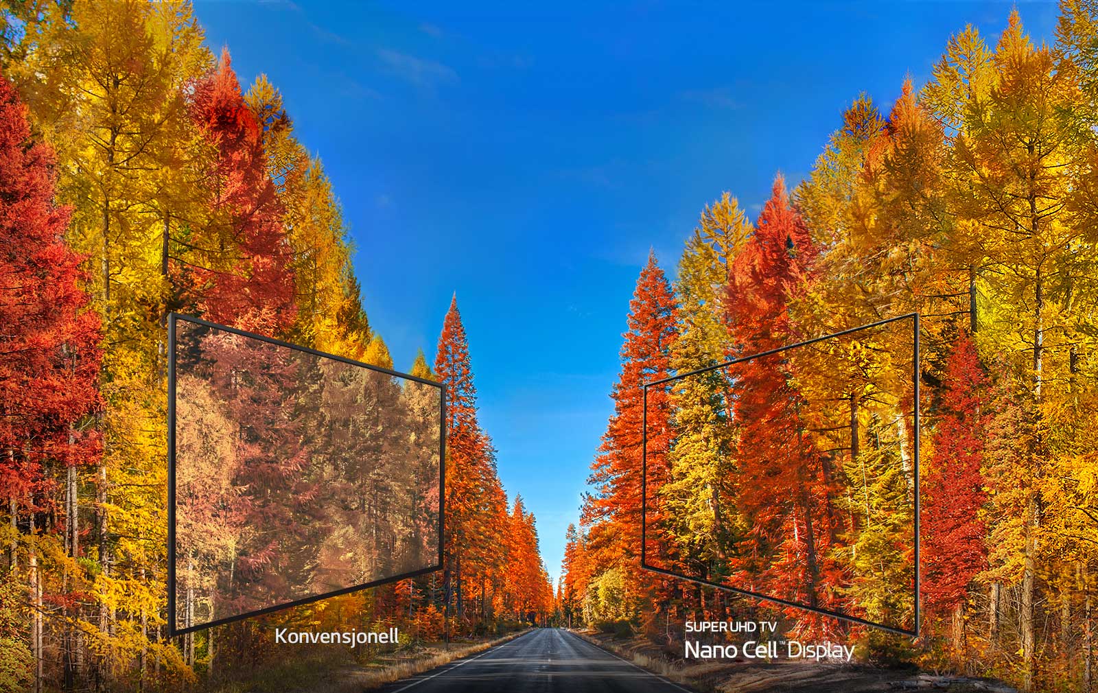 Konsekvente bilder fra enhver vinkel<br>1