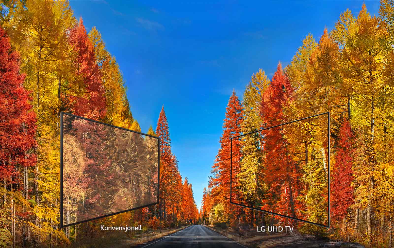 Konsekvente bilder fra enhver vinkel<br>1