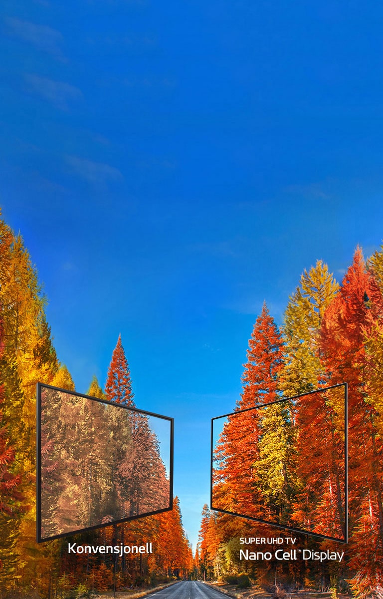 Avslører sannheten om farger på TV2