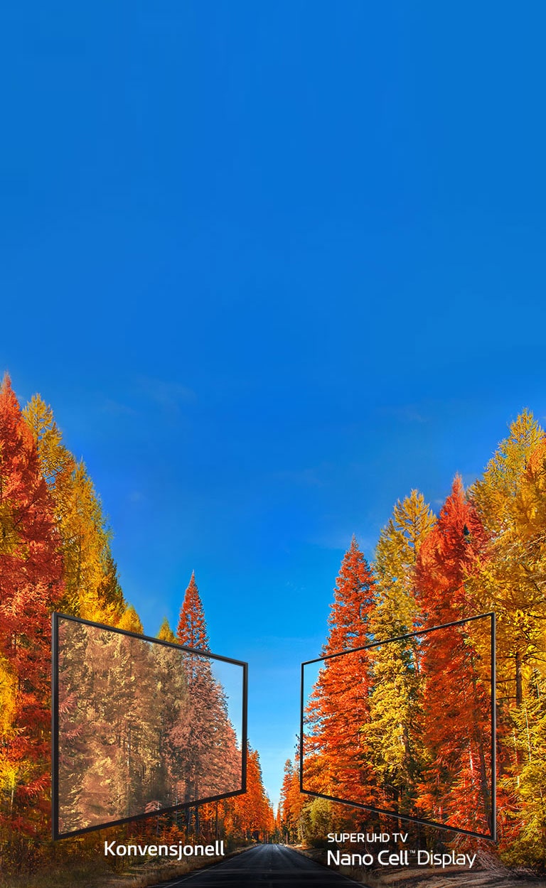 Avslører sannheten om farger på TV2