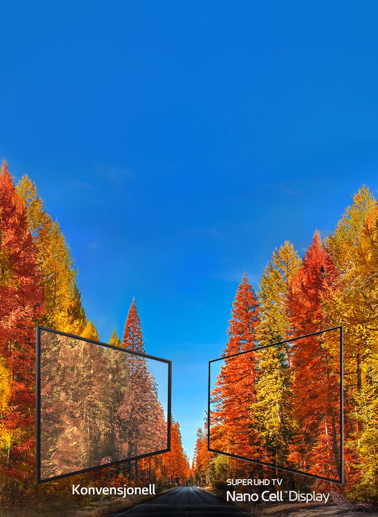 Avslører sannheten om farger på TV2