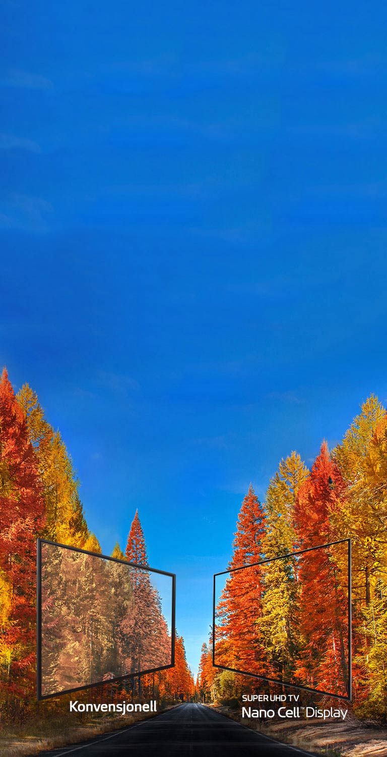 Avslører sannheten om farger på TV2