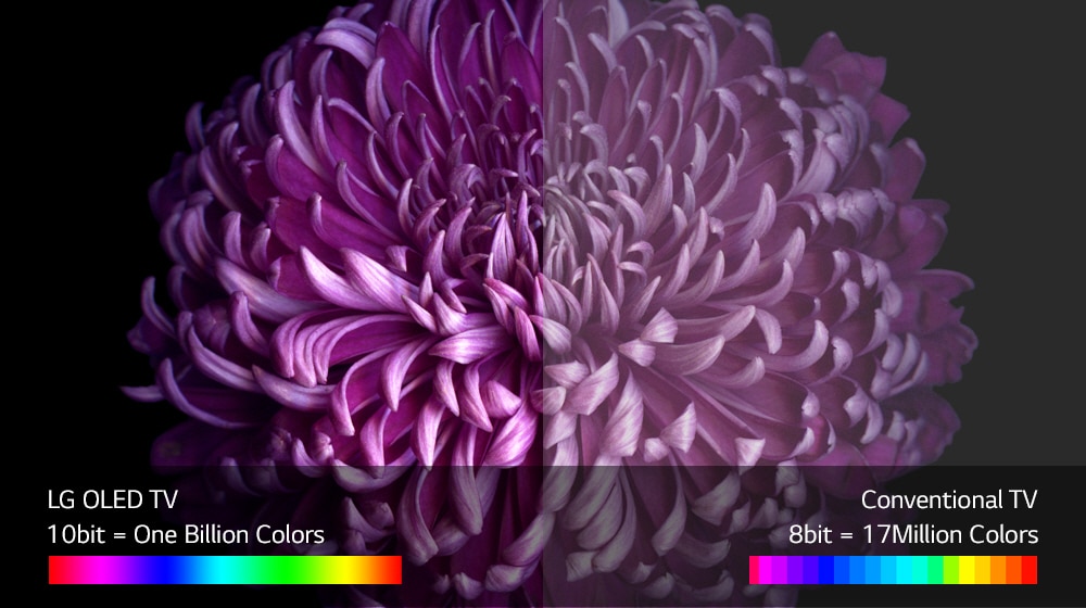 04_W7_A_Perfect_Color_on_Perfect_Black_(sub)