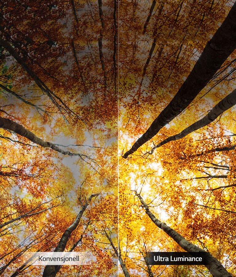 Forsterket topplysstyrke<br>2