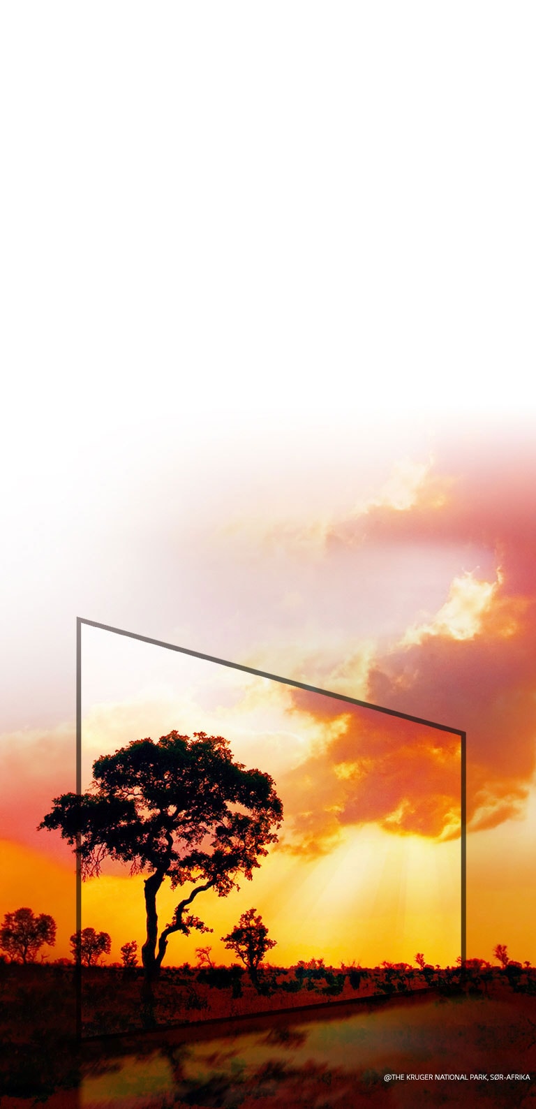 Aktiv HDR med Dolby Vision, dekker alle HDR:er2