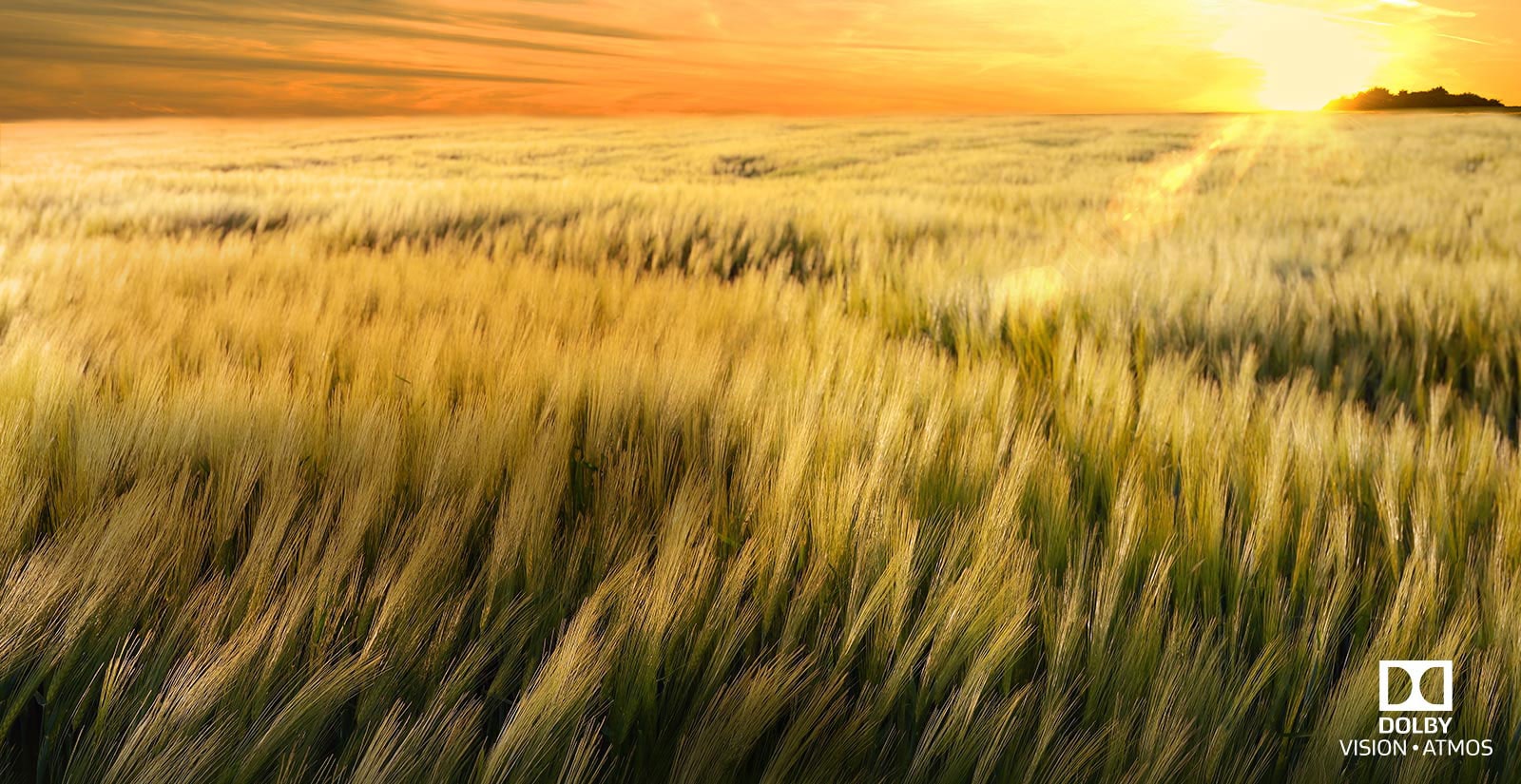 Kinofølelse i både lyd og bilde<br>1