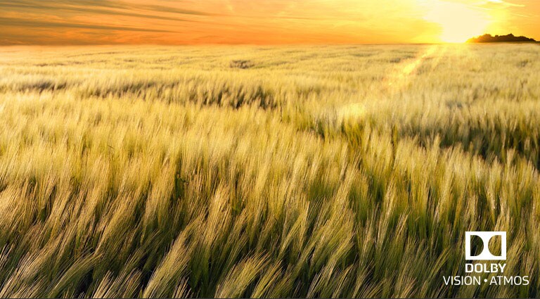 Kinofølelse i både lyd og bilde<br>2