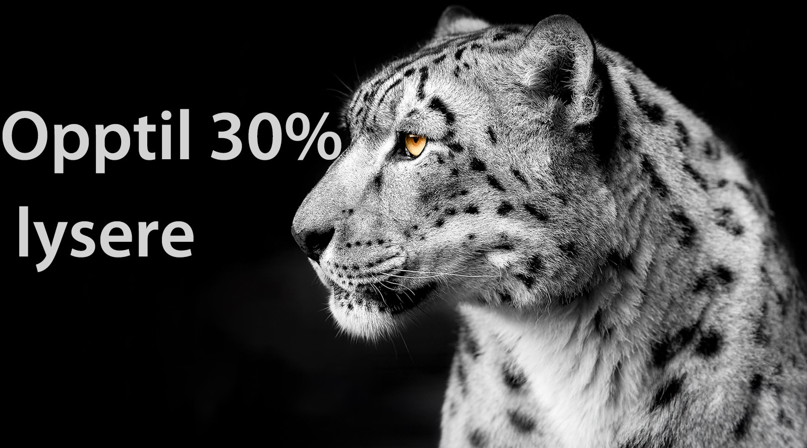 En hvit leopard som viser sitt sideansikt på venstre side av bildet. Teksten "Opptil 30 % lysere" vises til venstre.