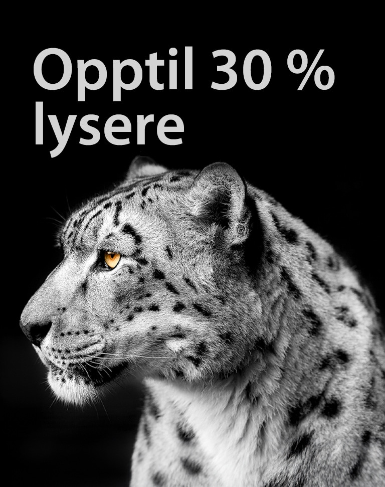 En hvit leopard som viser sitt sideansikt på venstre side av bildet. Teksten "Opptil 30 % lysere" vises til venstre.