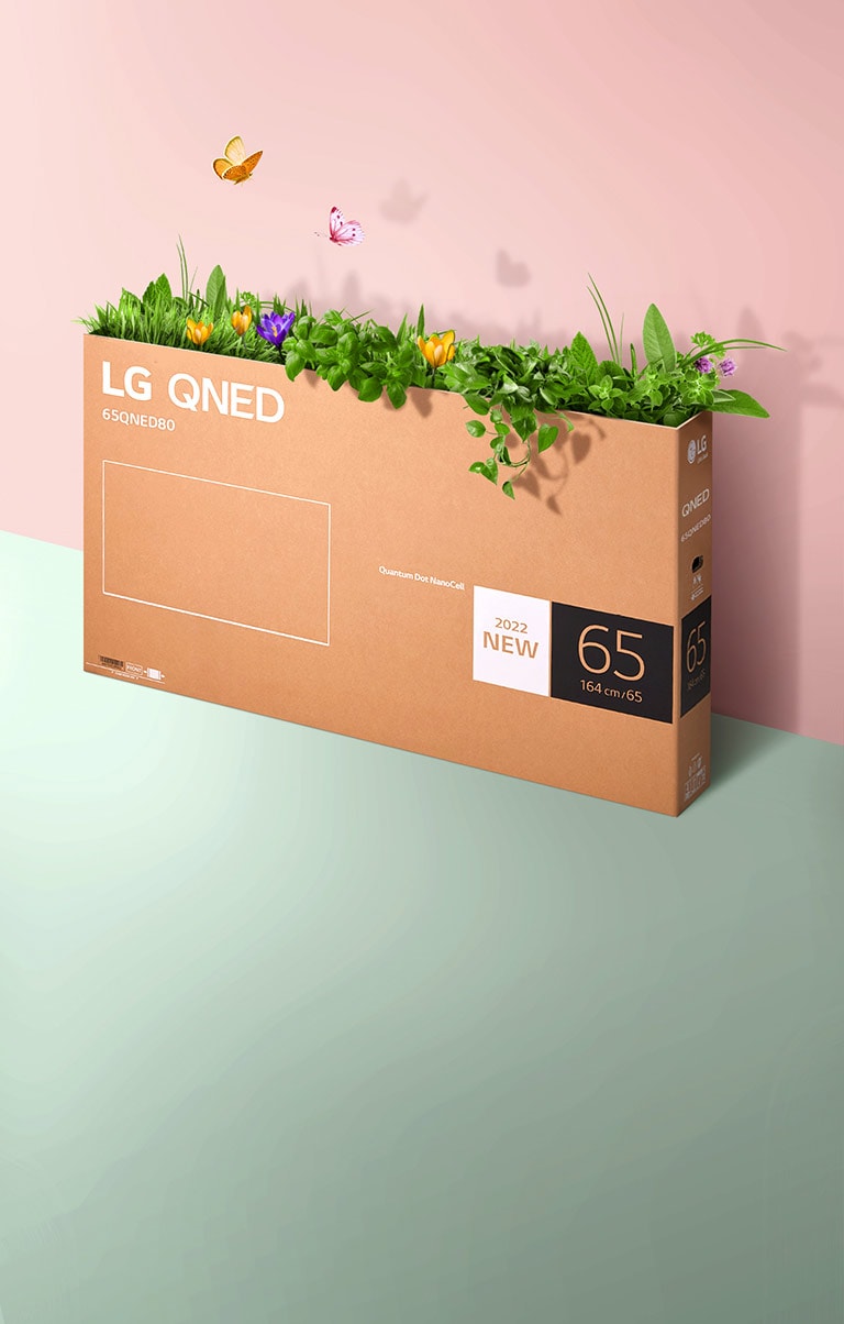 En QNED-innpakkingseske plassert ved en rosa og grønn bakgrunn, og det gror gress og flyr sommerfugler ut av innsiden av esken. 