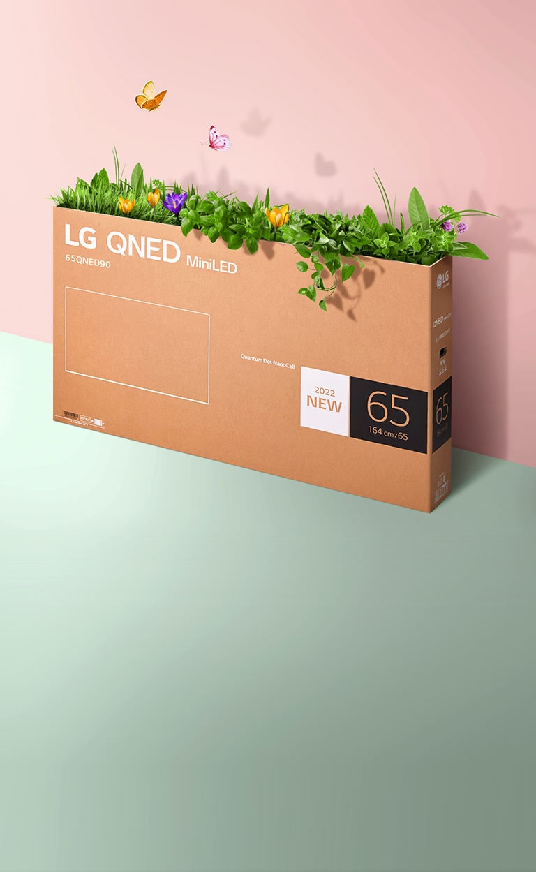 En QNED-innpakkingseske plassert ved en rosa og grønn bakgrunn, og det gror gress og flyr sommerfugler ut av innsiden av esken. 