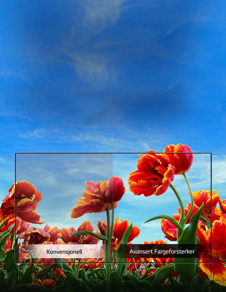 TV–en din er en mediaspiller.<br>2