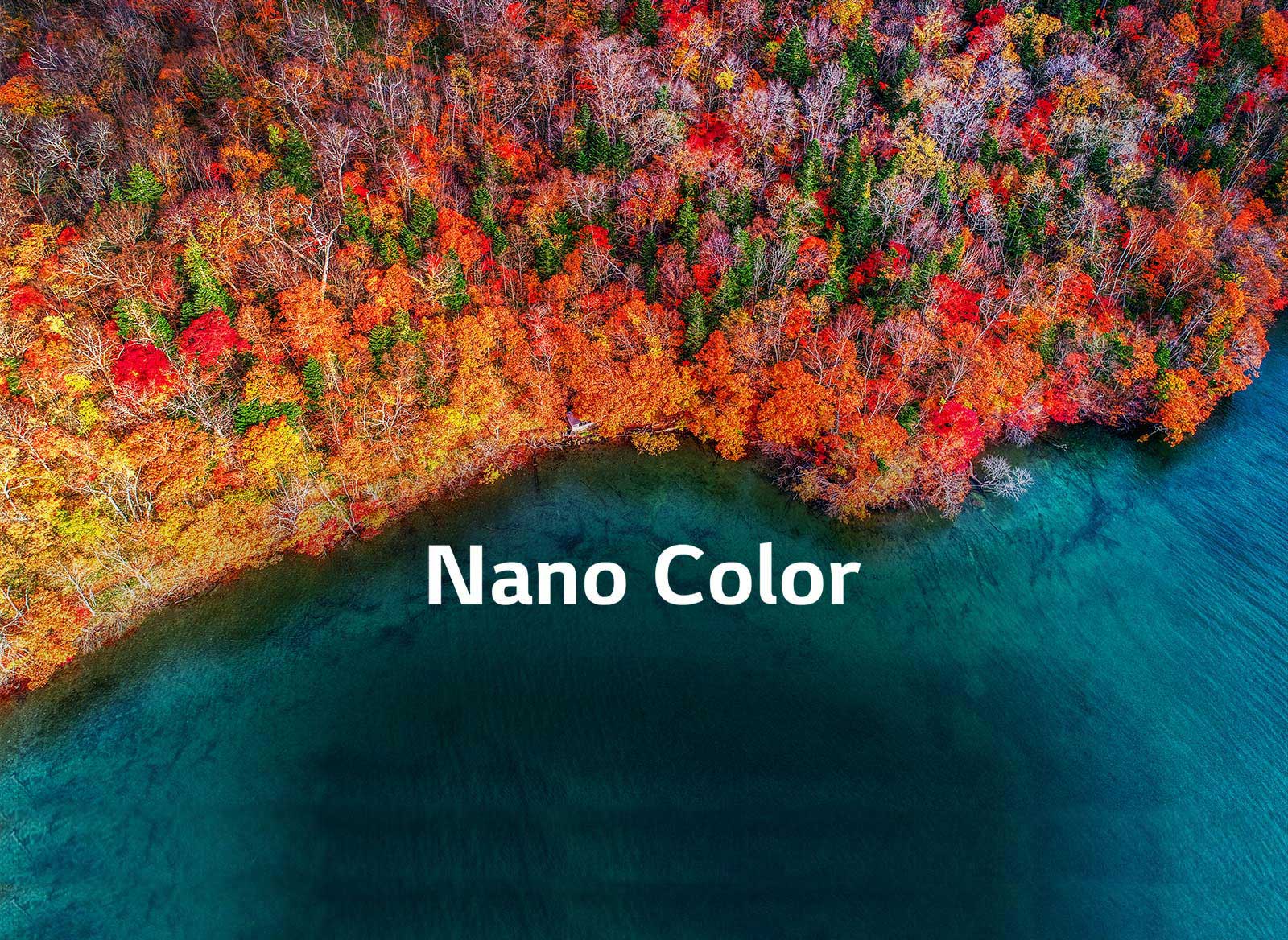 Forfinet fargerenhet1