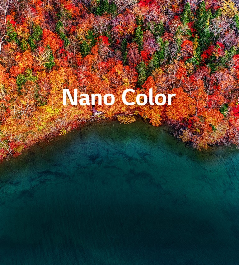 Forfinet fargerenhet2