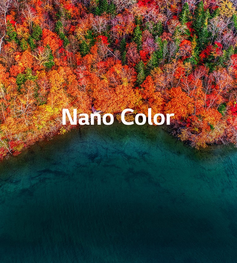 <br><br>Forfinet fargerenhet2