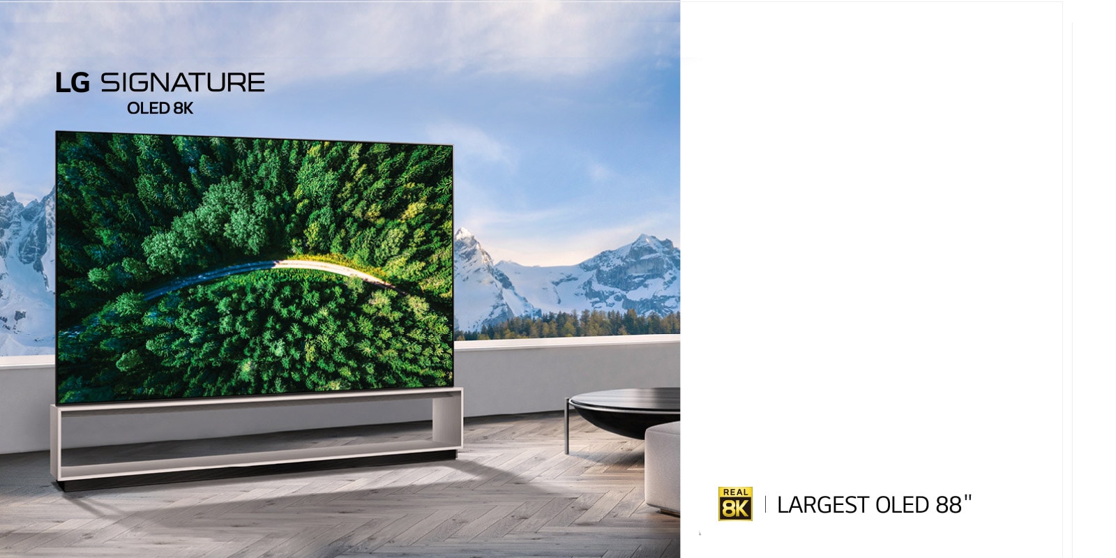 TV-SIGNATURE-OLED-Z9-Banner-D