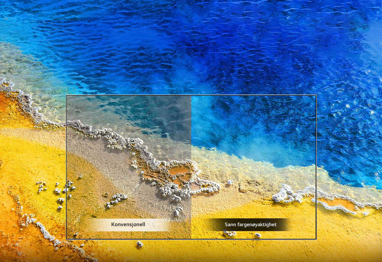 Riktig farge i hver bilderamme<br>1