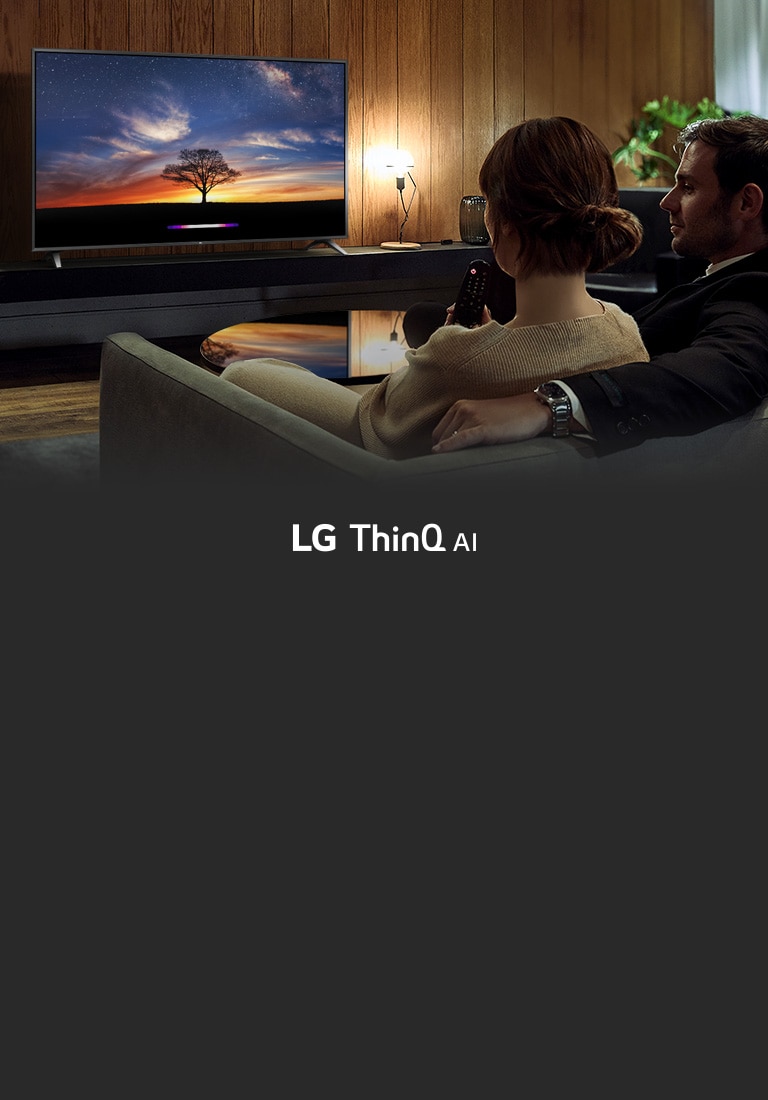 Styr TV–en din med stemmen<br>2