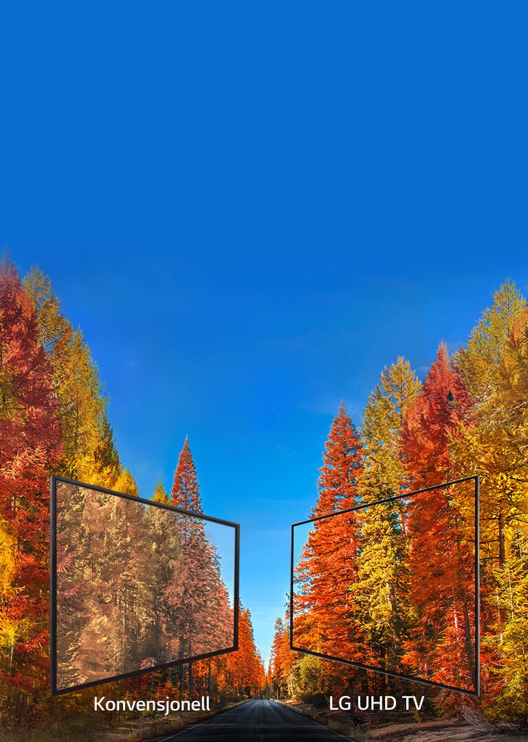 Konsekvente bilder fra enhver vinkel2