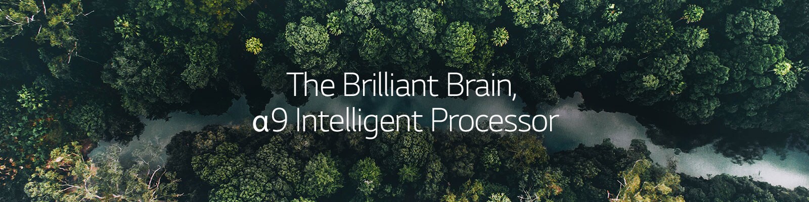 01_Alpha9_hero_desktop