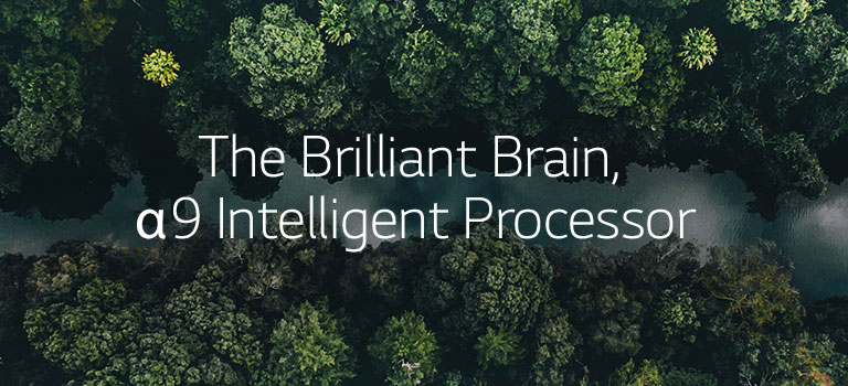 01_Alpha9_hero_mobile